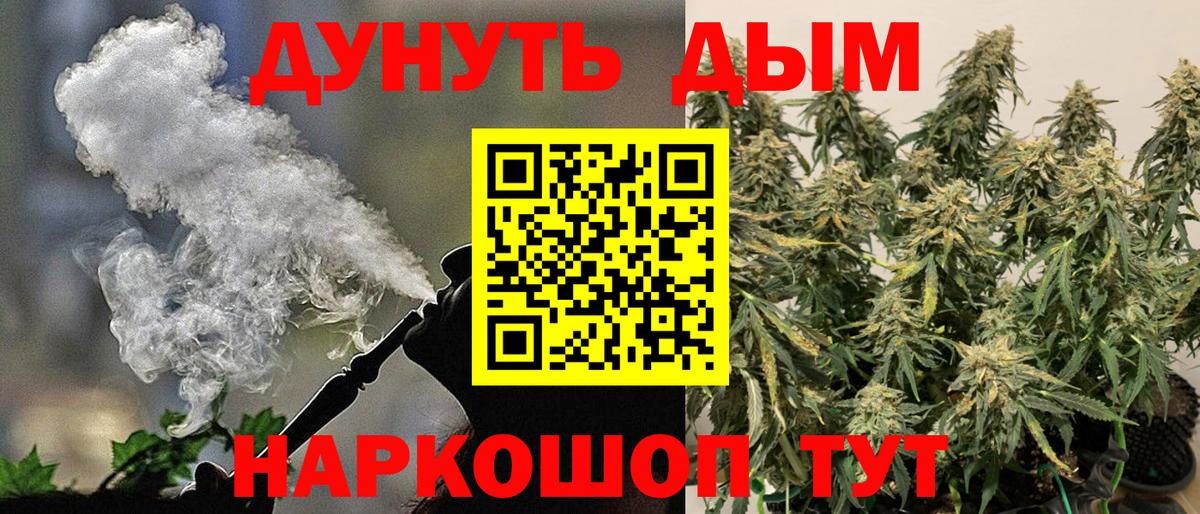 Каннабис OG Kush Советск